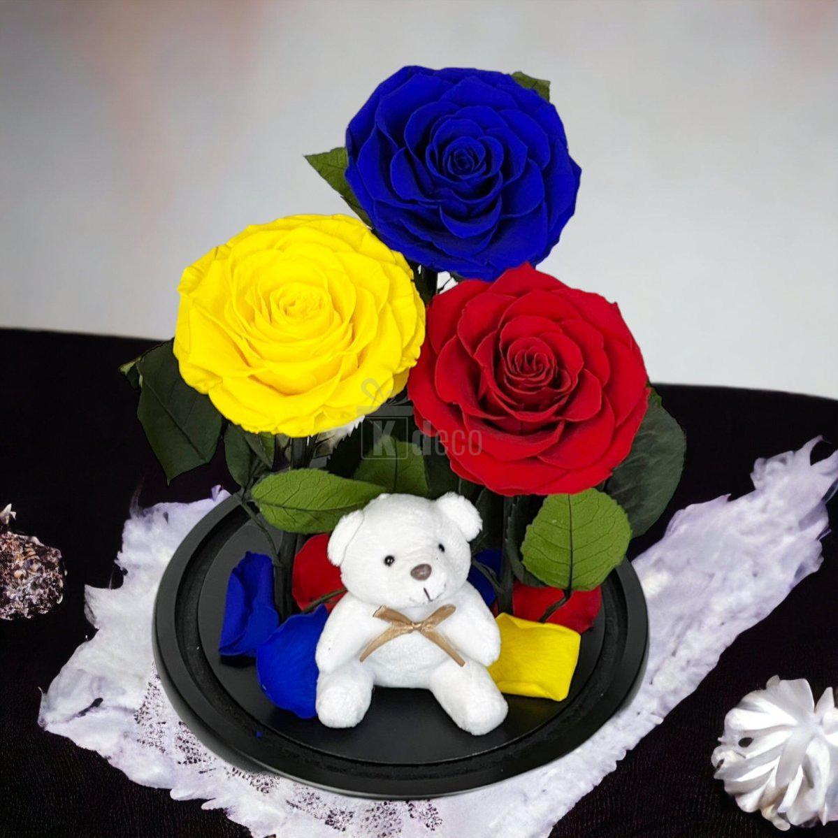 3 Trandafiri Criogenati mari (albastru, galben, rosu) in cupola de sticla-Kdeco.ro