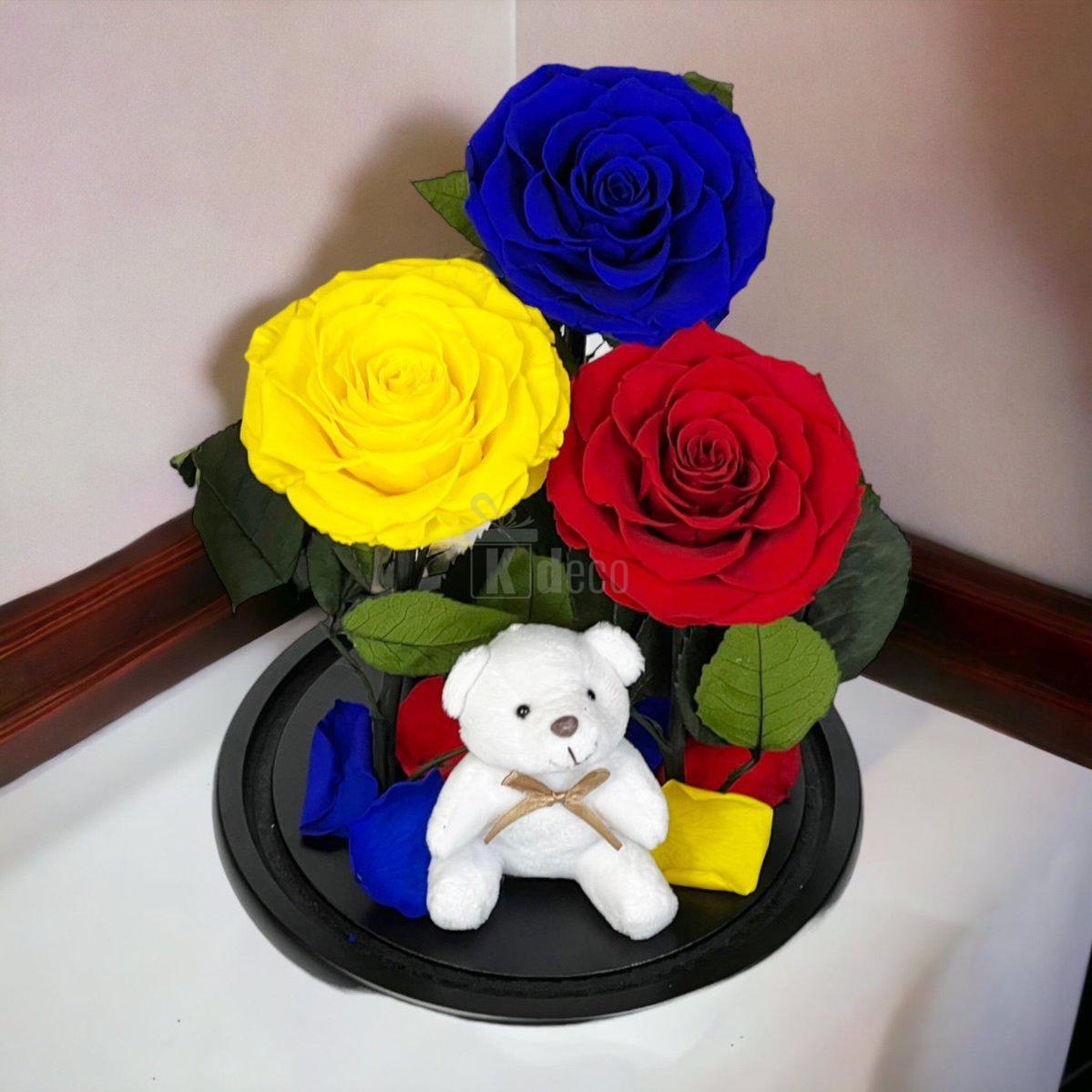 3 Trandafiri Criogenati mari (albastru, galben, rosu) in cupola de sticla-Kdeco.ro