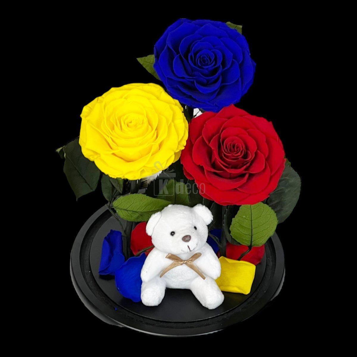 3 Trandafiri Criogenati mari (albastru, galben, rosu) in cupola de sticla-Kdeco.ro