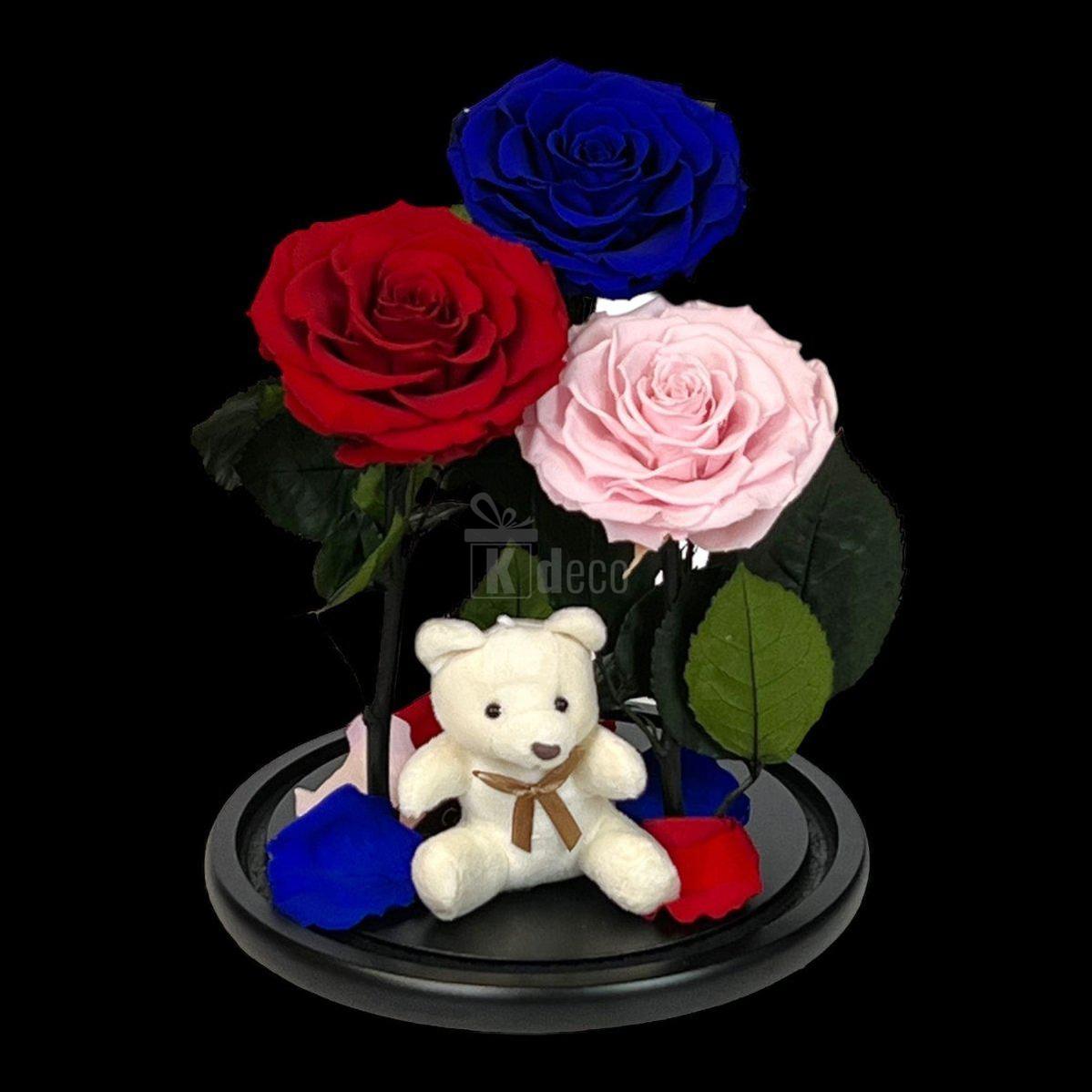 3 Trandafiri Criogenati mari (rosu, albastru, roz) in cupola de sticla-Kdeco.ro