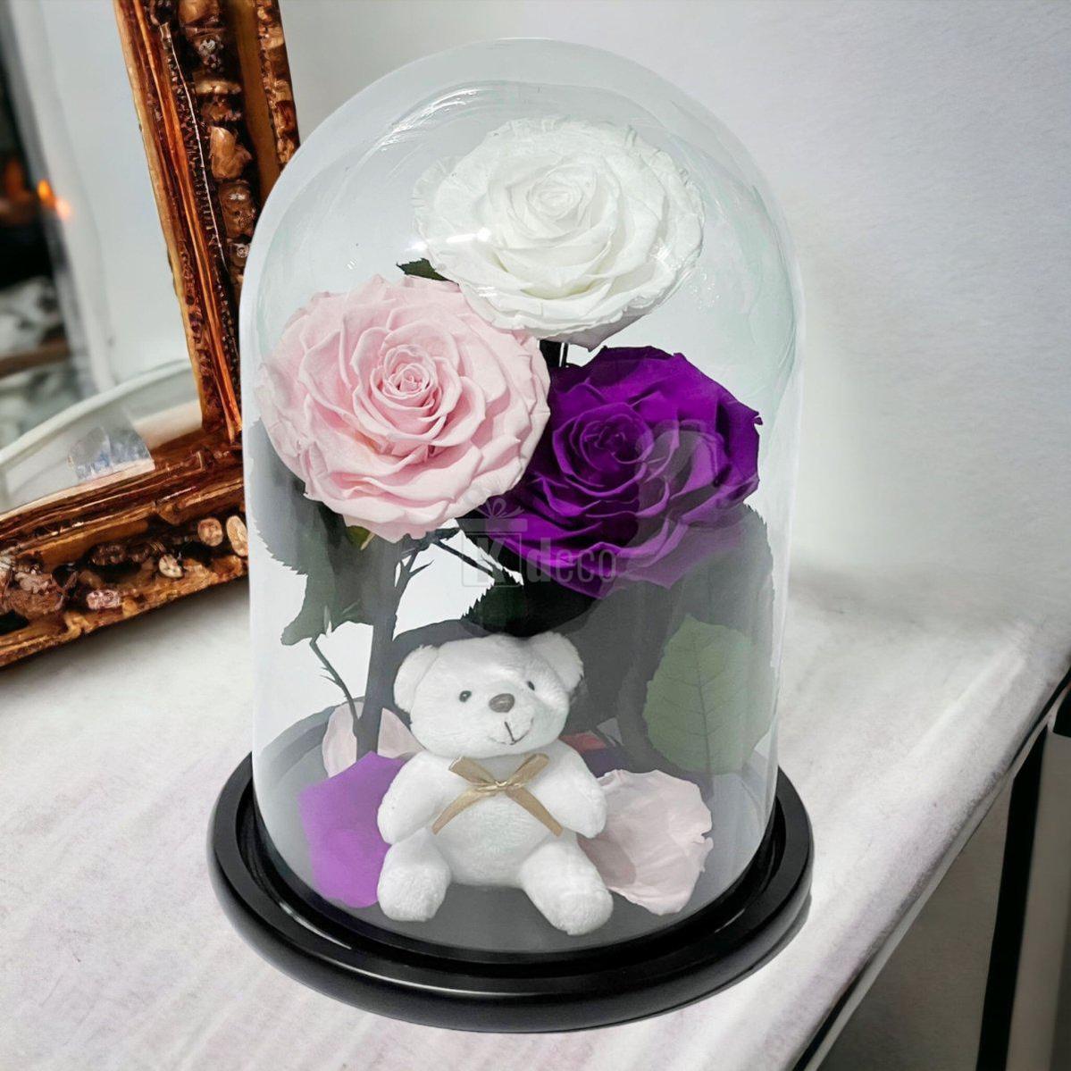 3 Trandafiri Criogenati mari (alb, roz, purpuriu) in cupola de sticla-Kdeco.ro