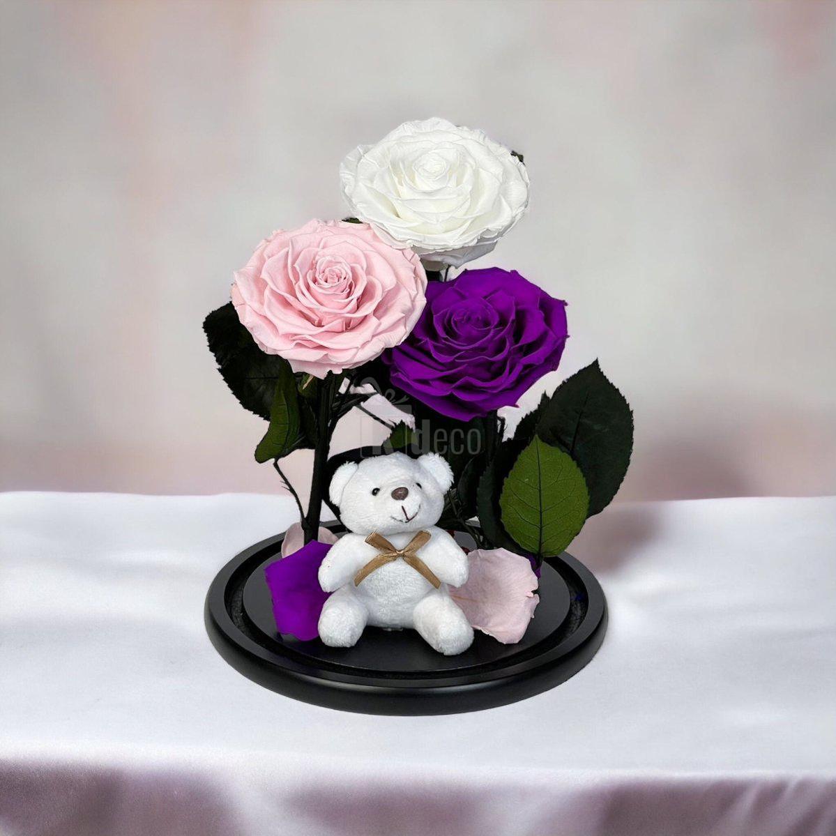 3 Trandafiri Criogenati mari (alb, roz, purpuriu) in cupola de sticla-Kdeco.ro