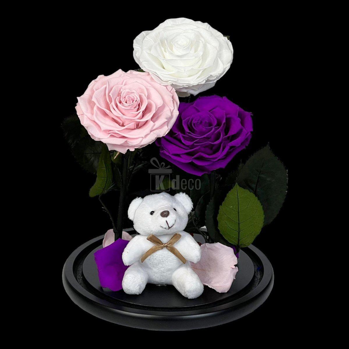 3 Trandafiri Criogenati mari (alb, roz, purpuriu) in cupola de sticla-Kdeco.ro