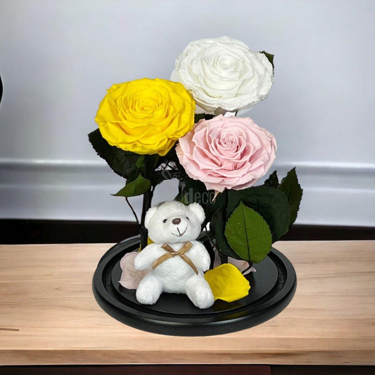 3 Trandafiri Criogenati mari (galben, alb, roz) in cupola de sticla-Kdeco.ro