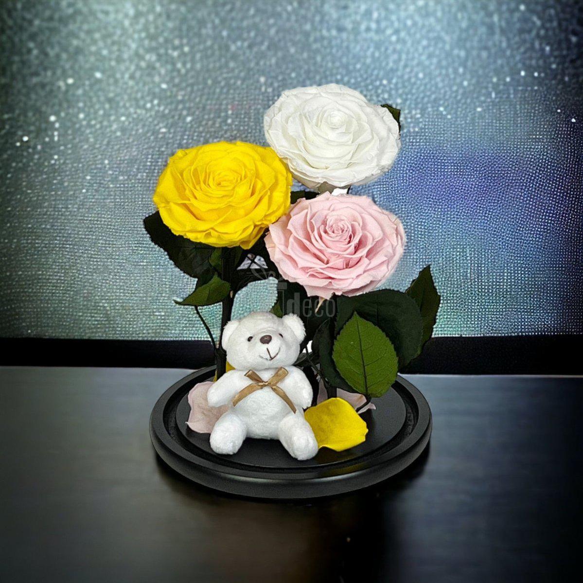 3 Trandafiri Criogenati mari (galben, alb, roz) in cupola de sticla-Kdeco.ro