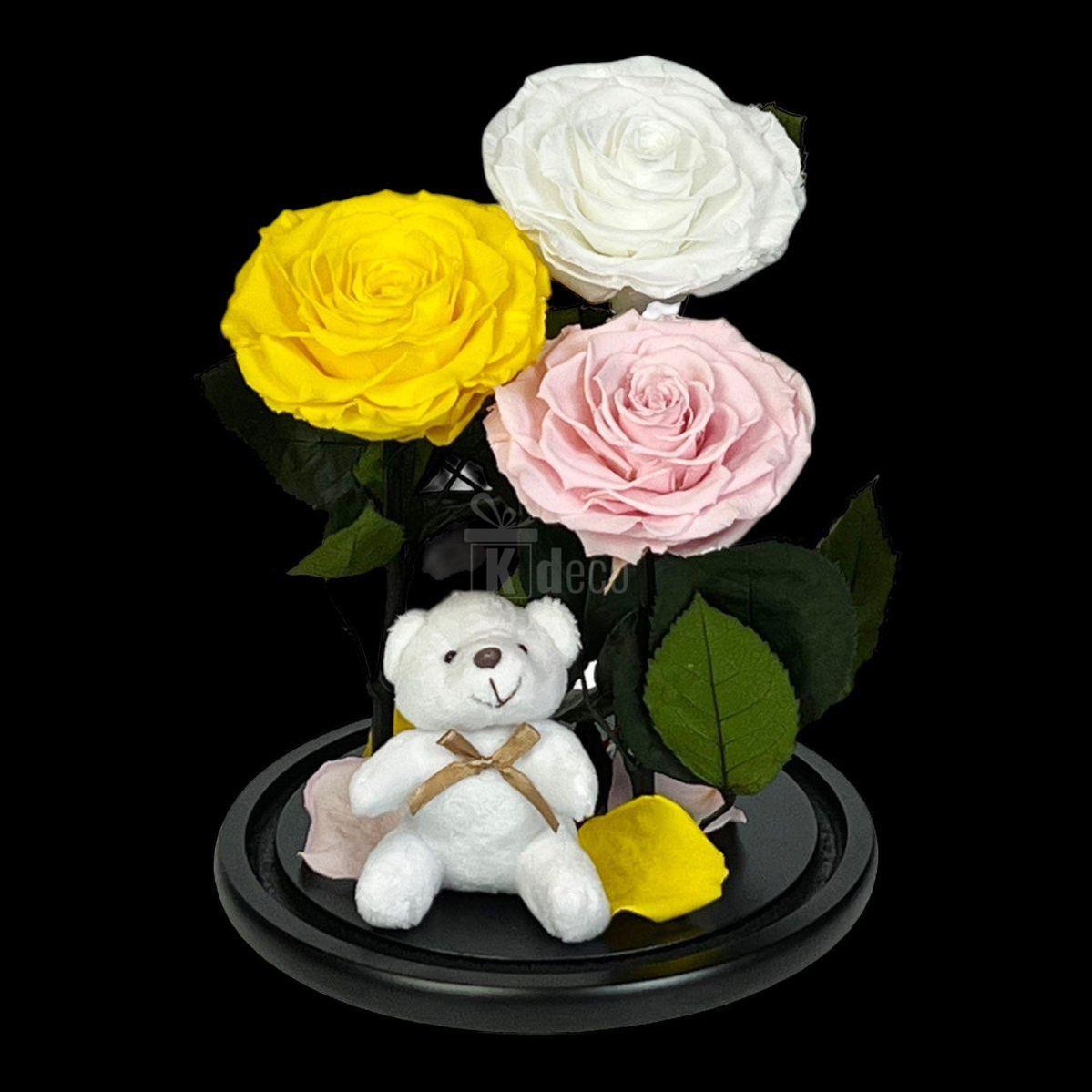 3 Trandafiri Criogenati mari (galben, alb, roz) in cupola de sticla-Kdeco.ro