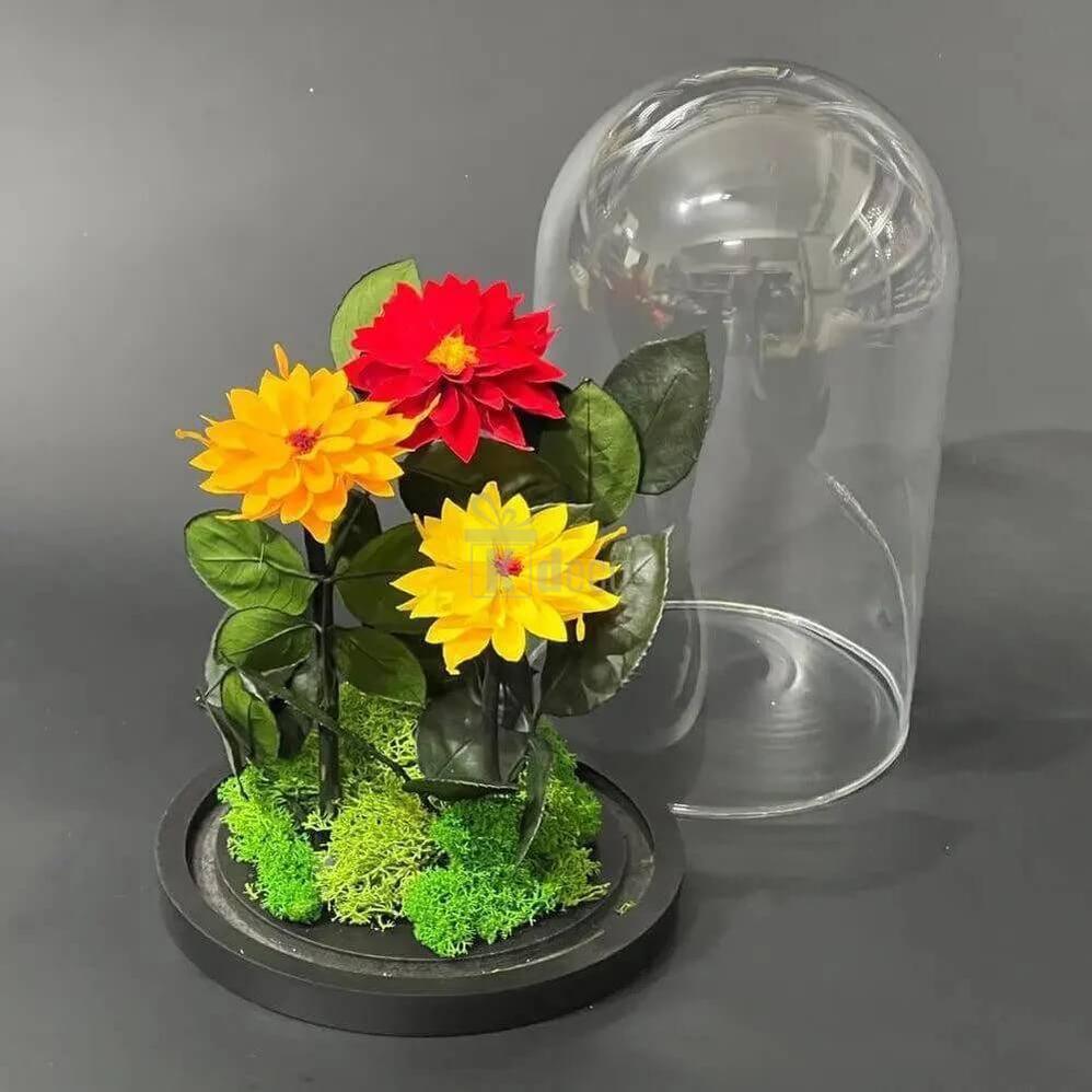 Set de Dalii Criogenate (roșu, galben, portocaliu) în cupolă de sticlă elegantă - Kdeco.ro