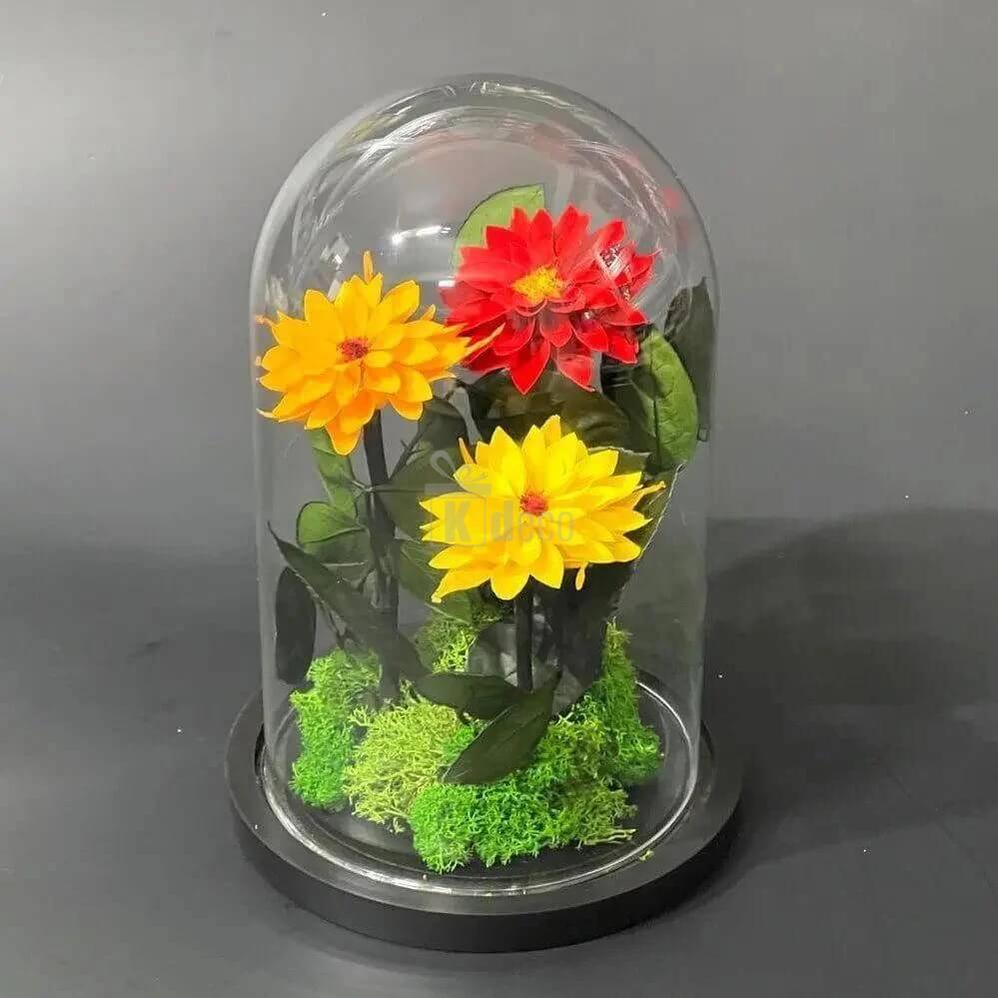 Set de Dalii Criogenate (roșu, galben, portocaliu) în cupolă de sticlă elegantă - Kdeco.ro