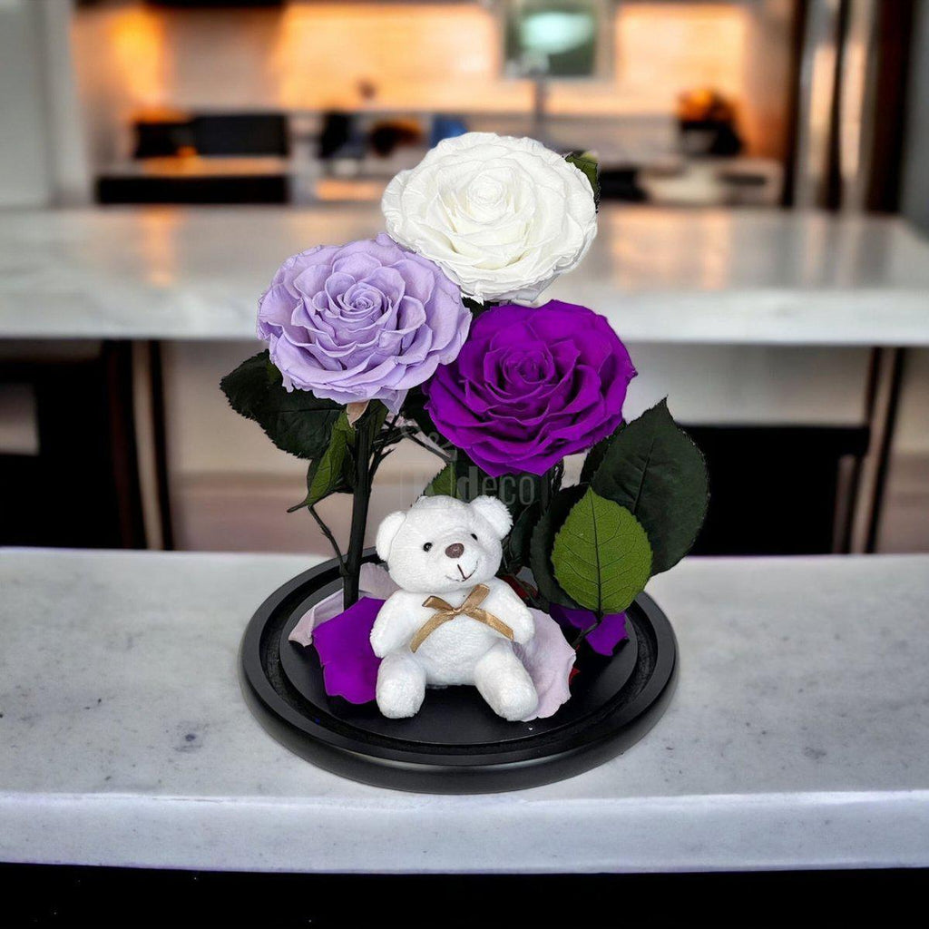 3 Trandafiri Criogenati mari (alb, lila, purpuriu) in cupola de sticla-Kdeco.ro