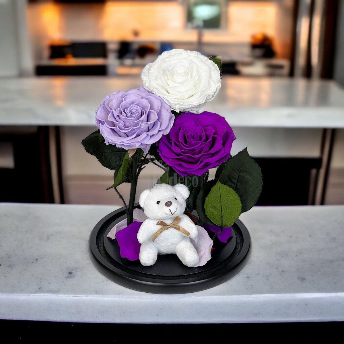 3 Trandafiri Criogenati mari (alb, lila, purpuriu) in cupola de sticla-Kdeco.ro