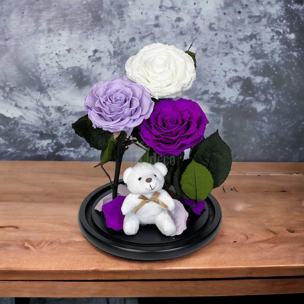 3 Trandafiri Criogenati mari (alb, lila, purpuriu) in cupola de sticla-Kdeco.ro