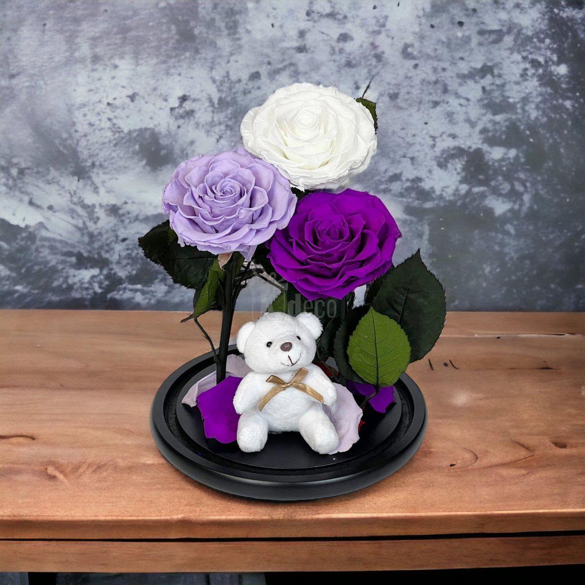 3 Trandafiri Criogenati mari (alb, lila, purpuriu) in cupola de sticla-Kdeco.ro