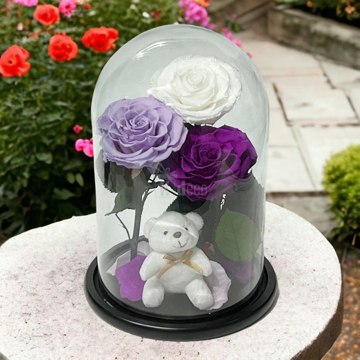 3 Trandafiri Criogenati mari (alb, lila, purpuriu) in cupola de sticla-Kdeco.ro