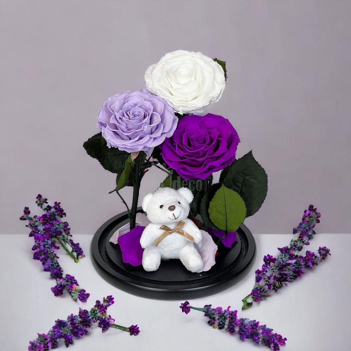 3 Trandafiri Criogenati mari (alb, lila, purpuriu) in cupola de sticla-Kdeco.ro