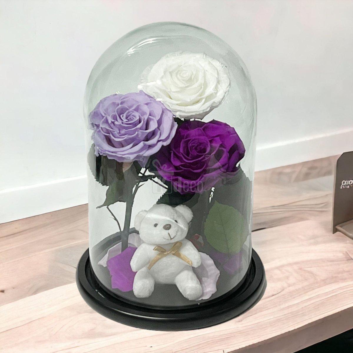 3 Trandafiri Criogenati mari (alb, lila, purpuriu) in cupola de sticla-Kdeco.ro