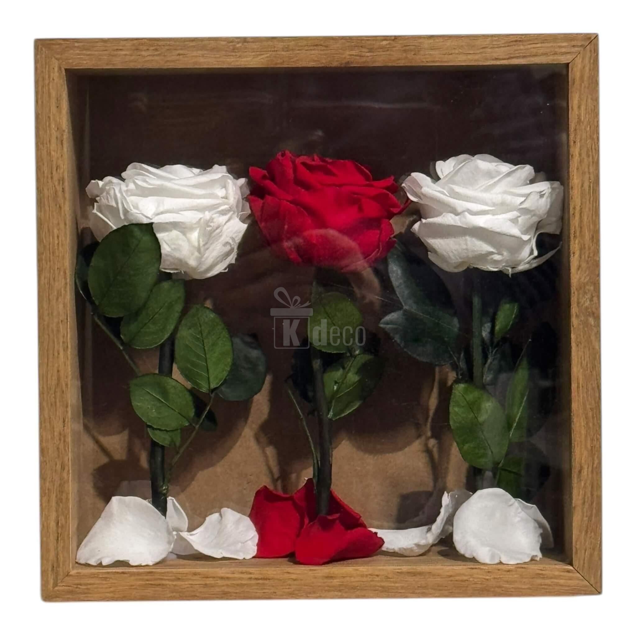 Tablou cu 3 Trandafiri Criogenați pe Pat de Petale – Eleganță și Rafinament, 27x27cm - Kdeco.ro