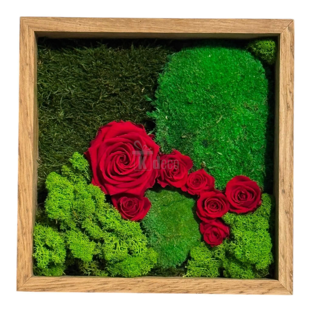 Tablou cu Mușchi, Licheni și Trandafiri Criogenați – Decor Natural și Elegant, 27x27cm - Kdeco.ro