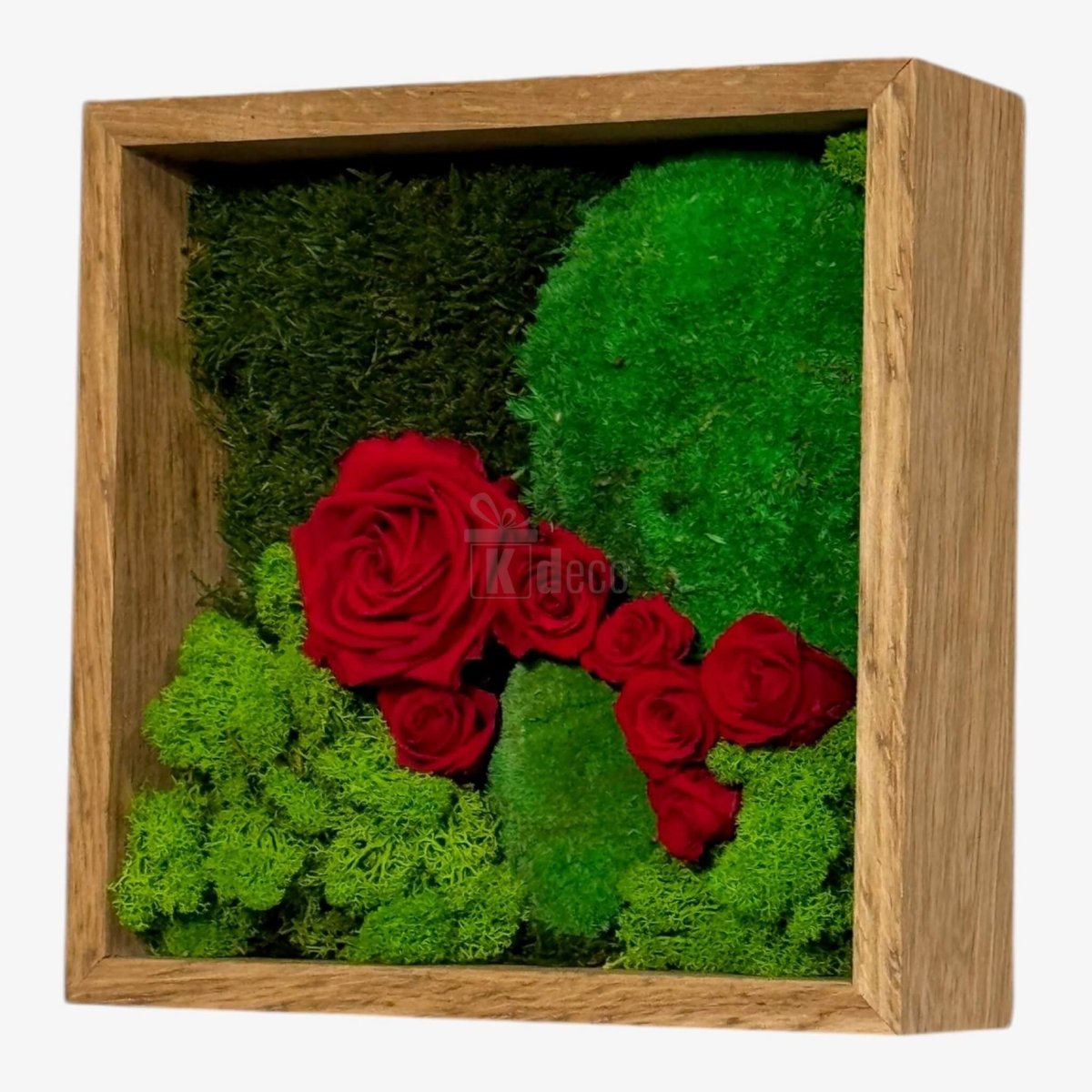 Tablou cu Mușchi, Licheni și Trandafiri Criogenați – Decor Natural și Elegant, 27x27cm - Kdeco.ro