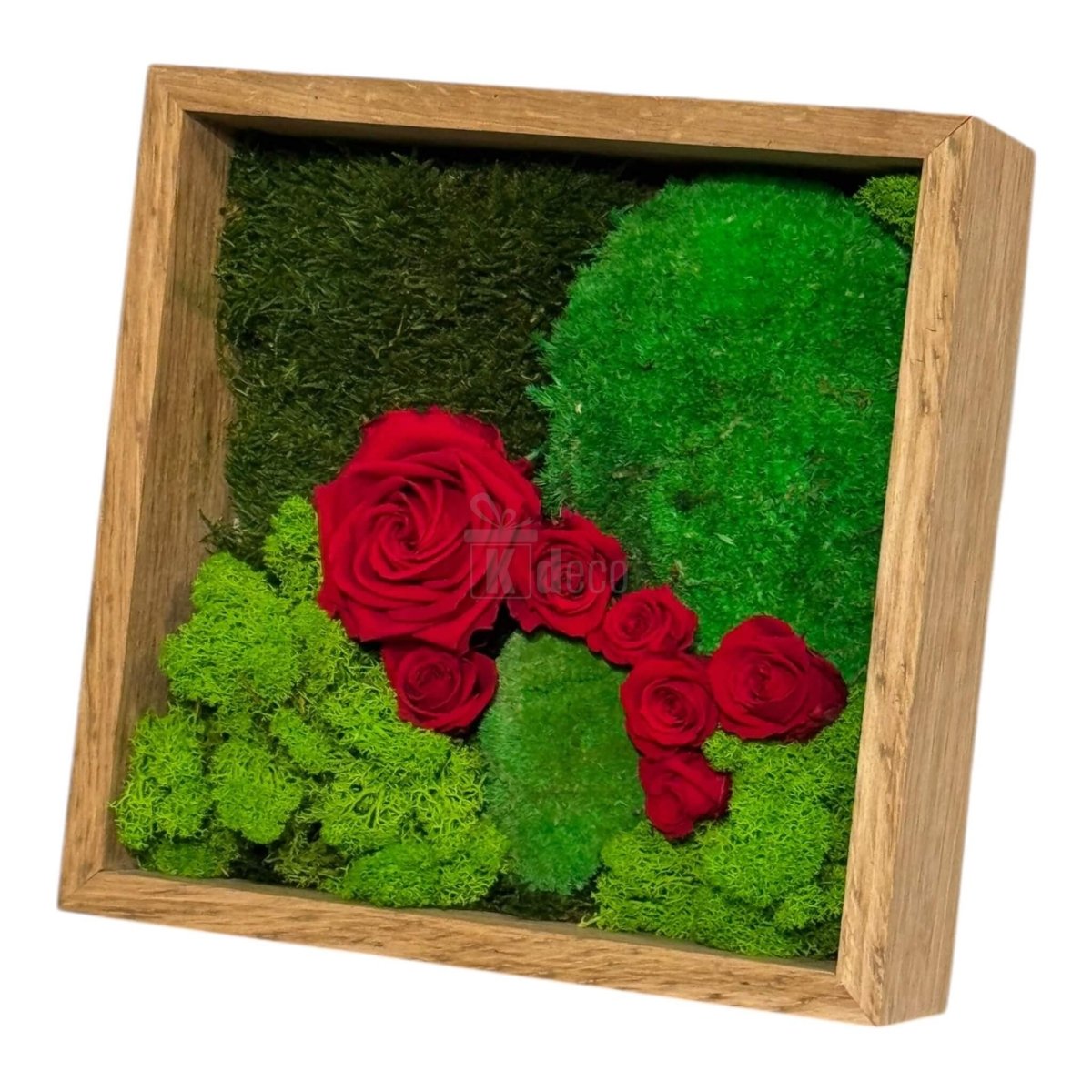 Tablou cu Mușchi, Licheni și Trandafiri Criogenați – Decor Natural și Elegant, 27x27cm - Kdeco.ro
