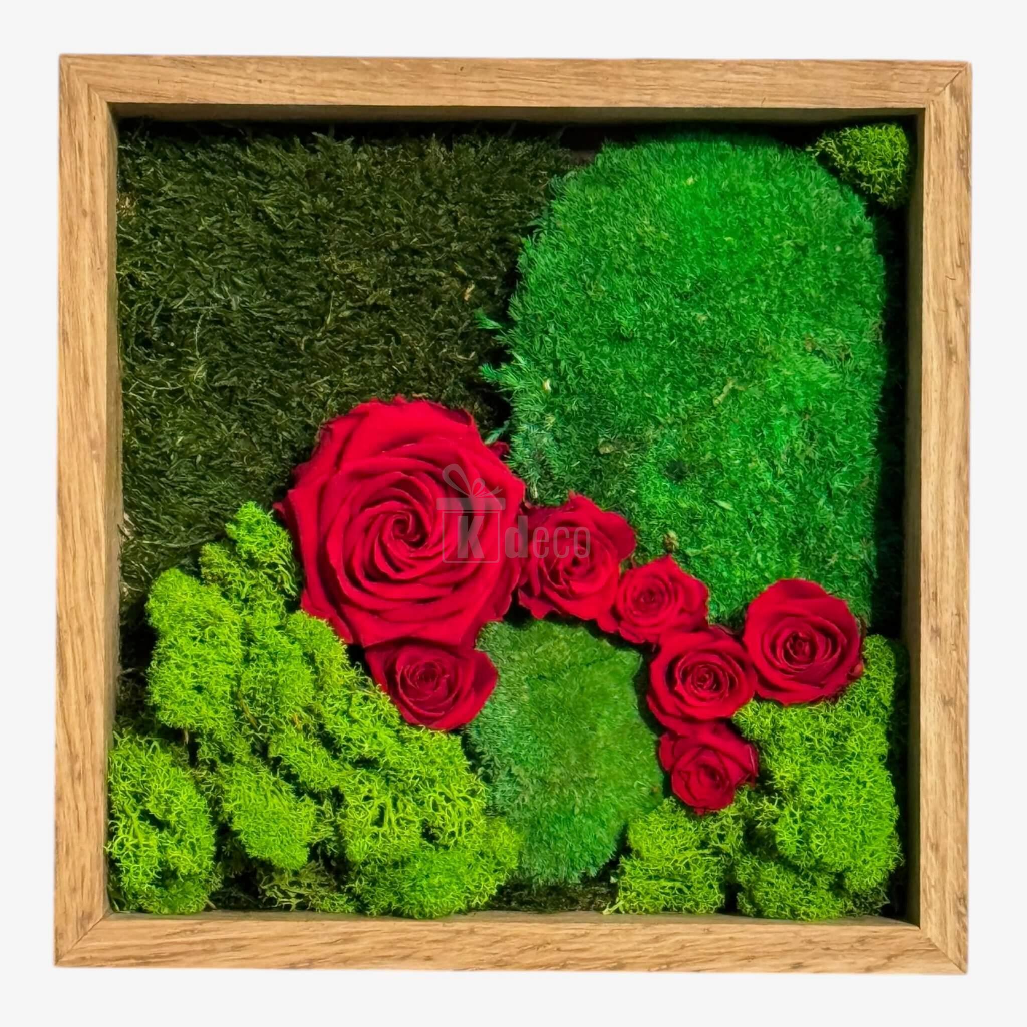 Tablou cu Mușchi, Licheni și Trandafiri Criogenați – Decor Natural și Elegant, 27x27cm - Kdeco.ro
