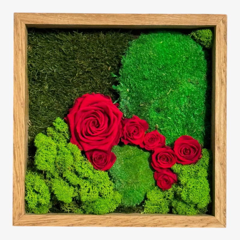 Tablou cu Mușchi, Licheni și Trandafiri Criogenați – Decor Natural și Elegant, 27x27cm - Kdeco.ro