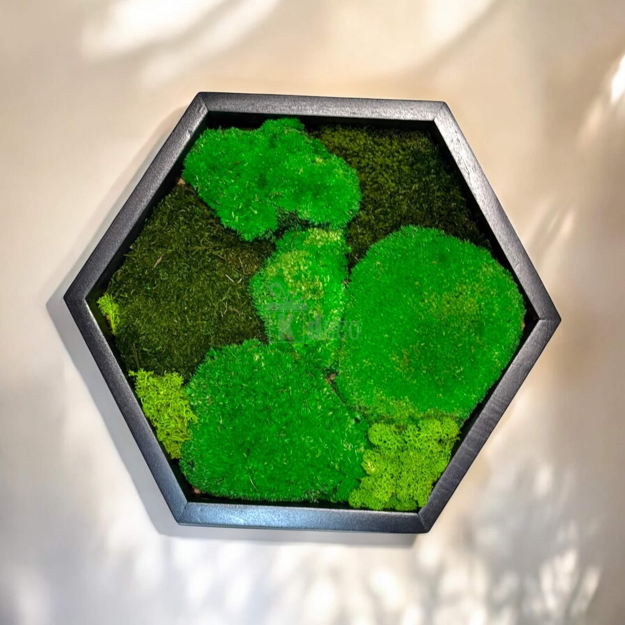 Decor natural de perete cu mușchi stabilizați în formă hexagonală, perfect pentru un ambient modern și eco în categoria Home & Garden.
