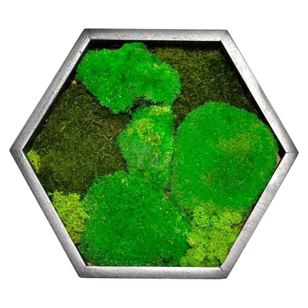 Tablou decorativ hexagonal cu mușchi bombat și licheni verzi, diametru 35cm, potrivit pentru spații interioare elegante și naturale.