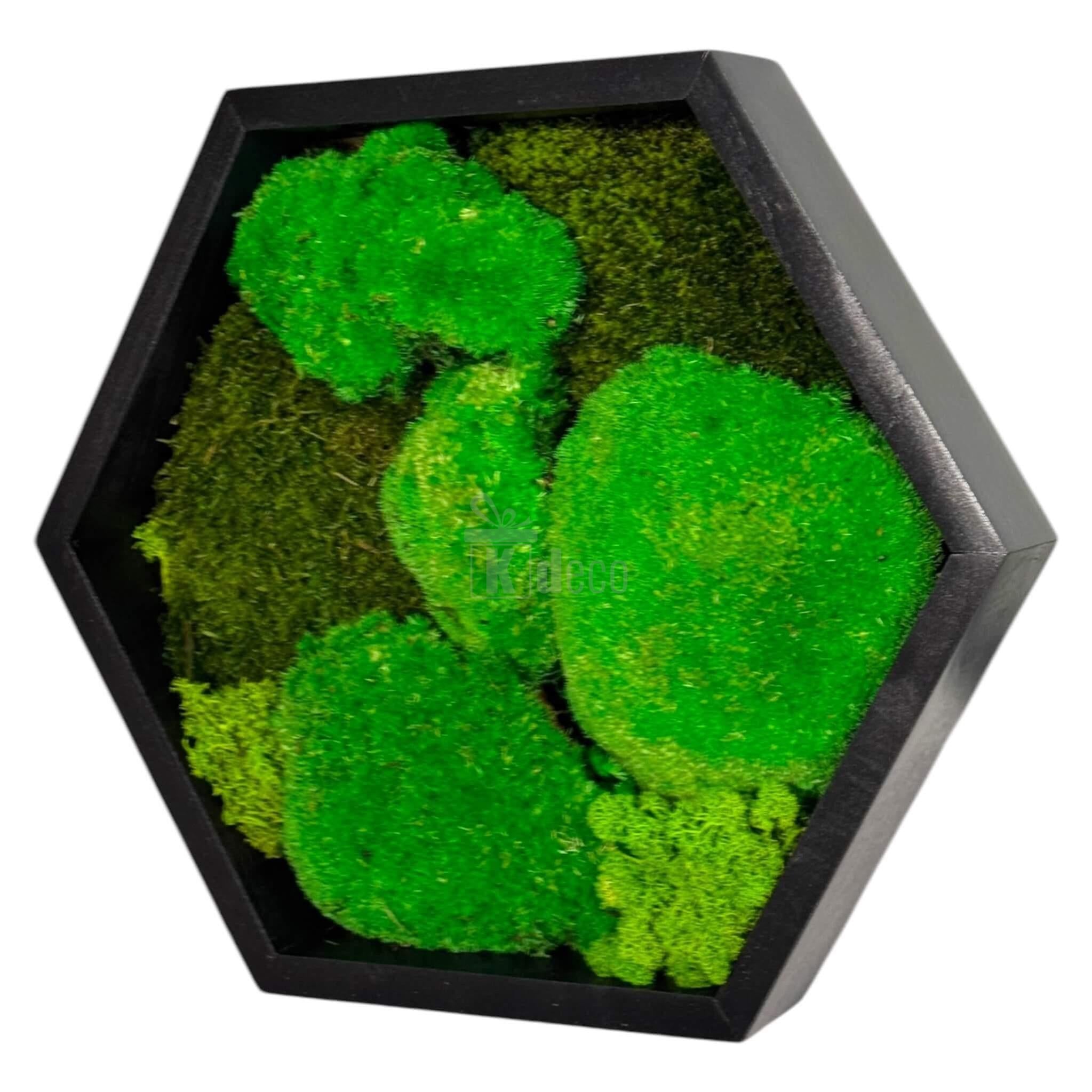 Tablou Hexagonal cu mușchi și licheni stabilizați, vedere laterală, decor eco pentru living, birou sau spații de relaxare moderne.
