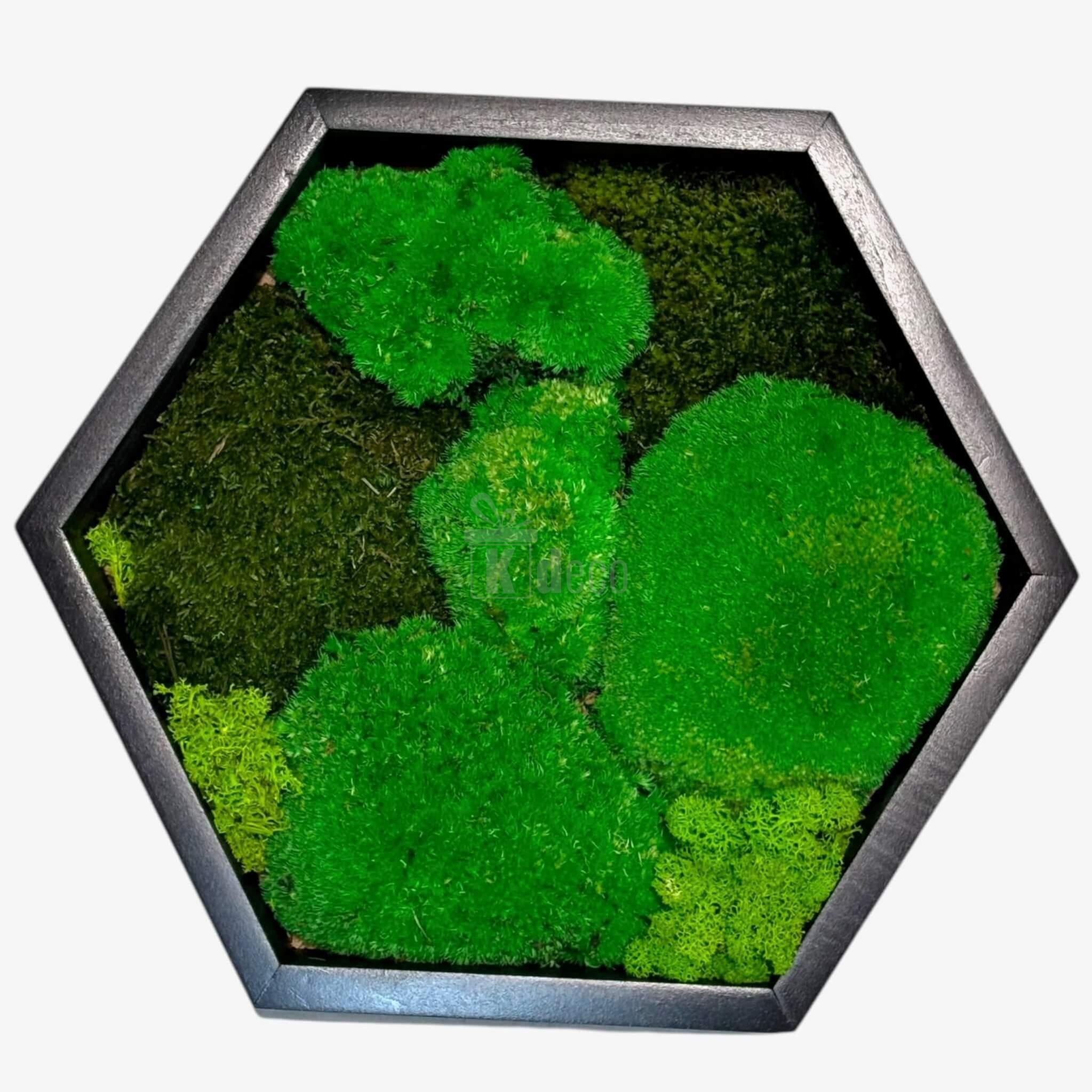 Element decorativ hexagonal cu mușchi bombat și plat, în nuanțe de verde intens, ideal pentru decorarea pereților în stil natural.