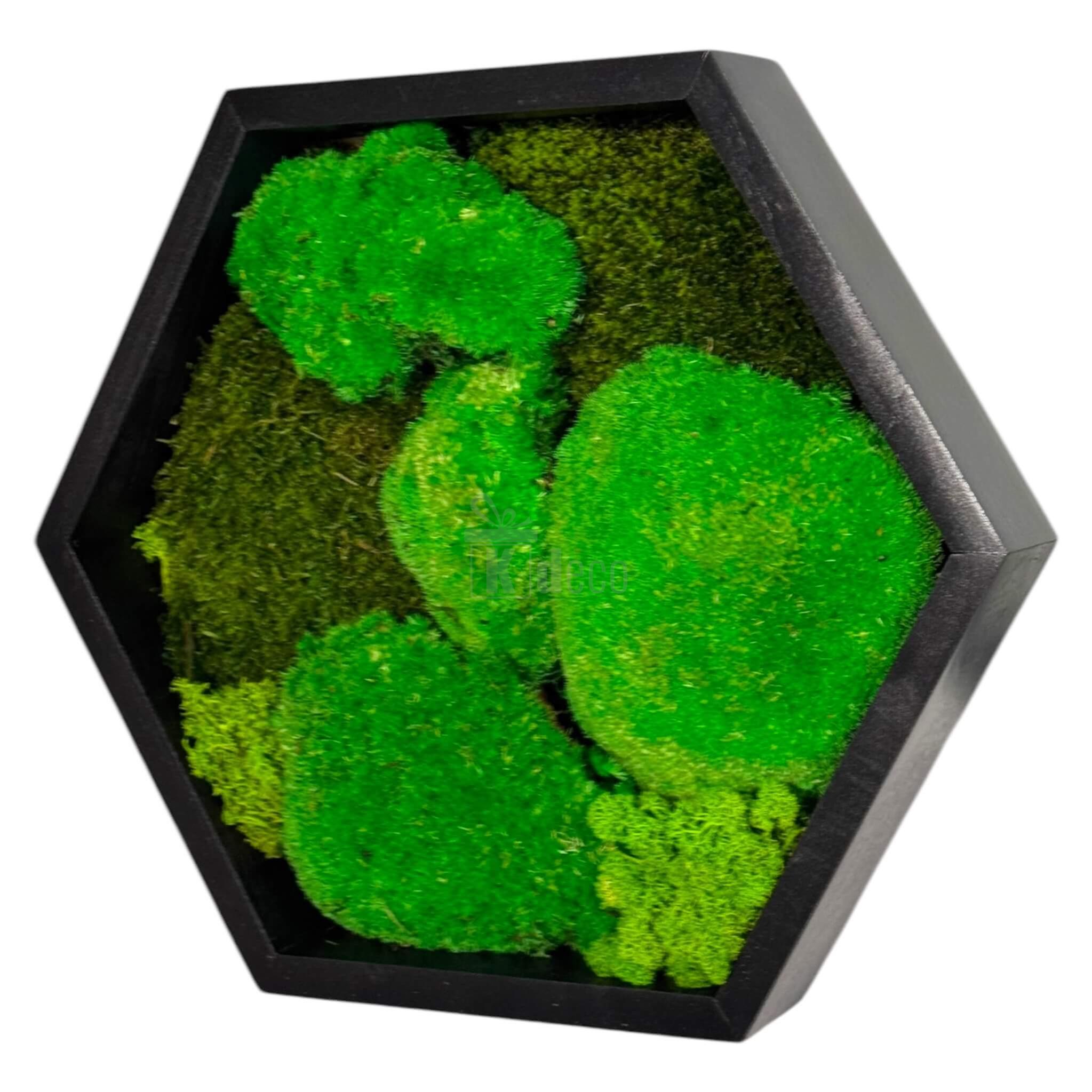 Tablou Hexagonal cu mușchi și licheni stabilizați, vedere laterală, decor eco pentru living, birou sau spații de relaxare moderne.