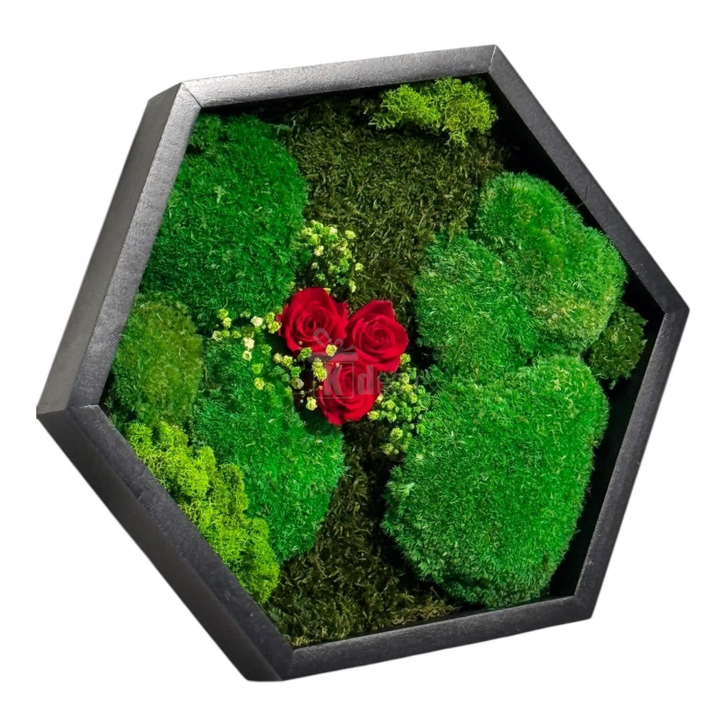 Decor eco hexagonal cu mușchi stabilizat și trandafiri criogenați roșii, ideal pentru cadouri și amenajări interioare moderne.