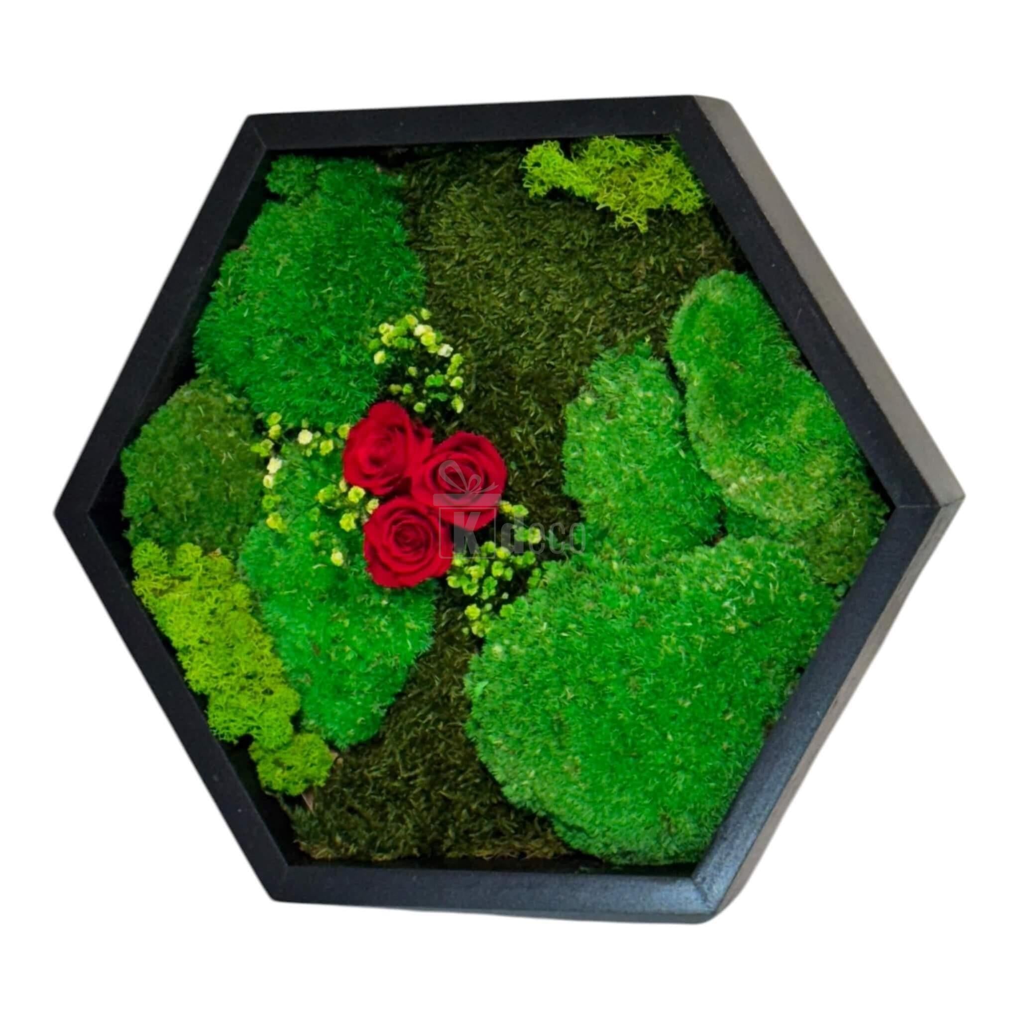 Decor floral de perete cu mușchi stabilizat și trandafiri criogenați roșii, în ramă hexagonală, ideal pentru cadouri elegante.