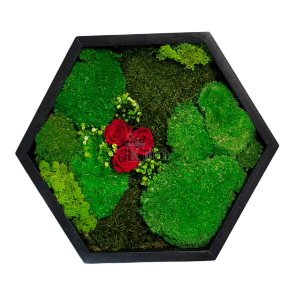 Tablou hexagonal cu mușchi și trandafiri criogenați roșii, decor natural pentru casă, fără întreținere, diametru 35 cm.