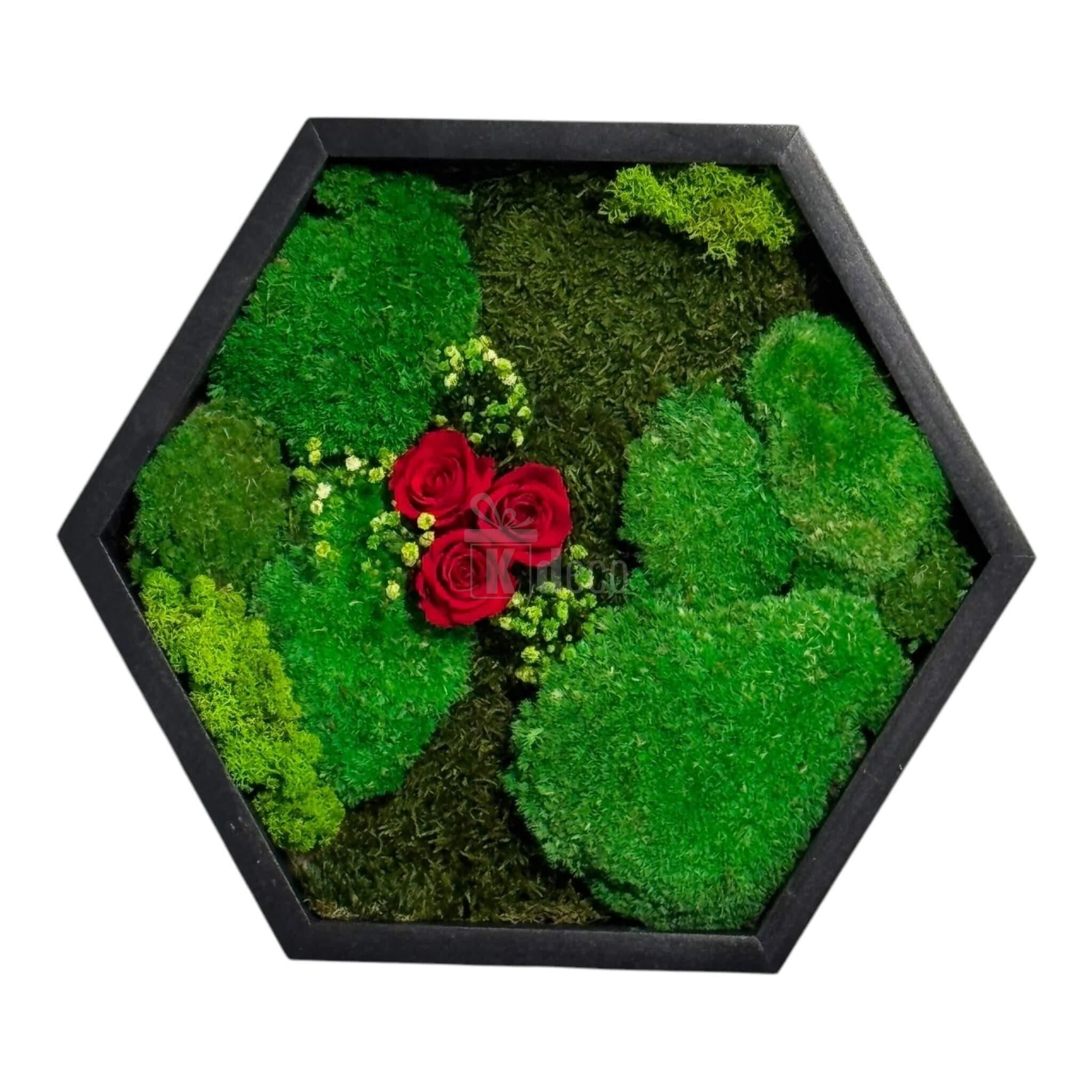 Decor eco hexagonal cu licheni și 3 trandafiri criogenați roșii, ideal pentru spații moderne și cadouri speciale.