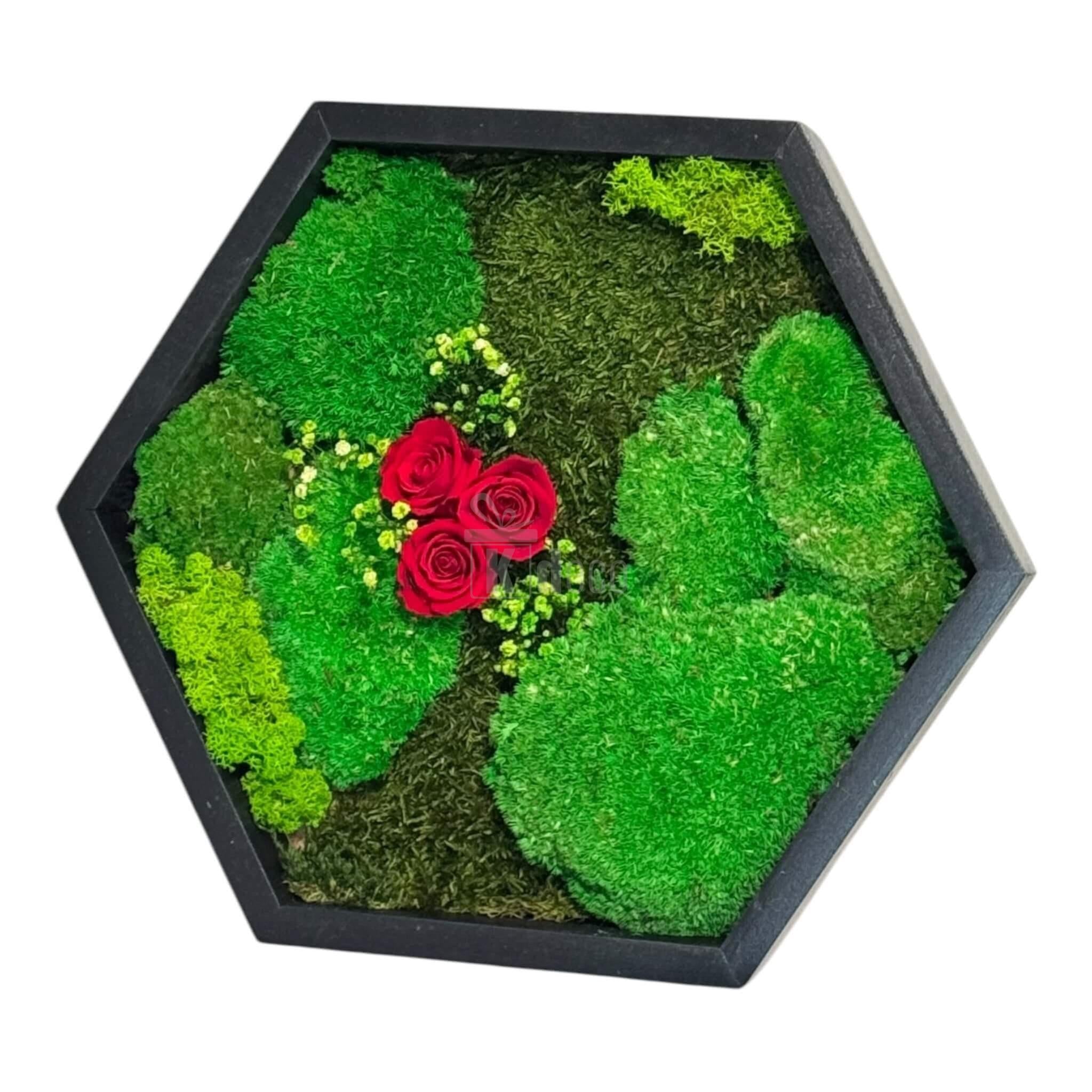 Tablou decorativ cu mușchi și trandafiri criogenați roșii, formă hexagonală, 35 cm, perfect pentru decorarea pereților.