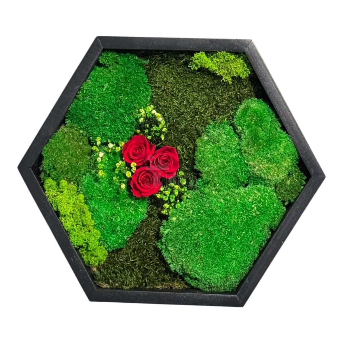 Tablou Hexagonal cu Mușchi, Licheni și Trandafiri Criogenați Roșii, decor natural elegant pentru interior, fără întreținere.