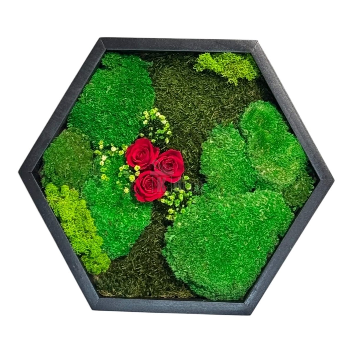 Tablou Hexagonal cu Mușchi, Licheni și 3 Trandafiri Criogenați Roșii – 35 cm, decor natural elegant pentru perete, fără întreținere.