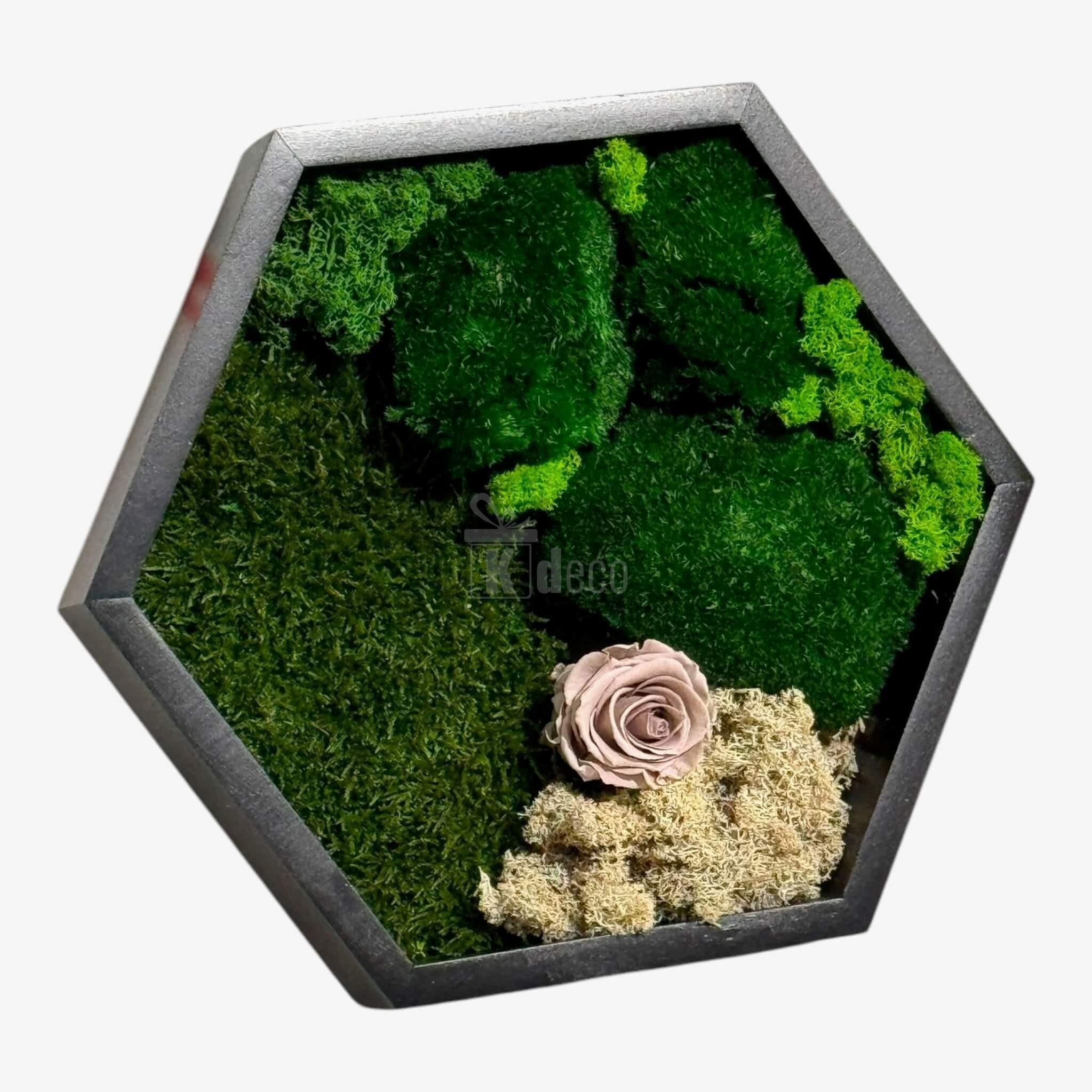 Tablou Hexagonal cu Mușchi, Licheni și Trandafir Criogenat – Eleganță Naturală, 35cm - Kdeco.ro