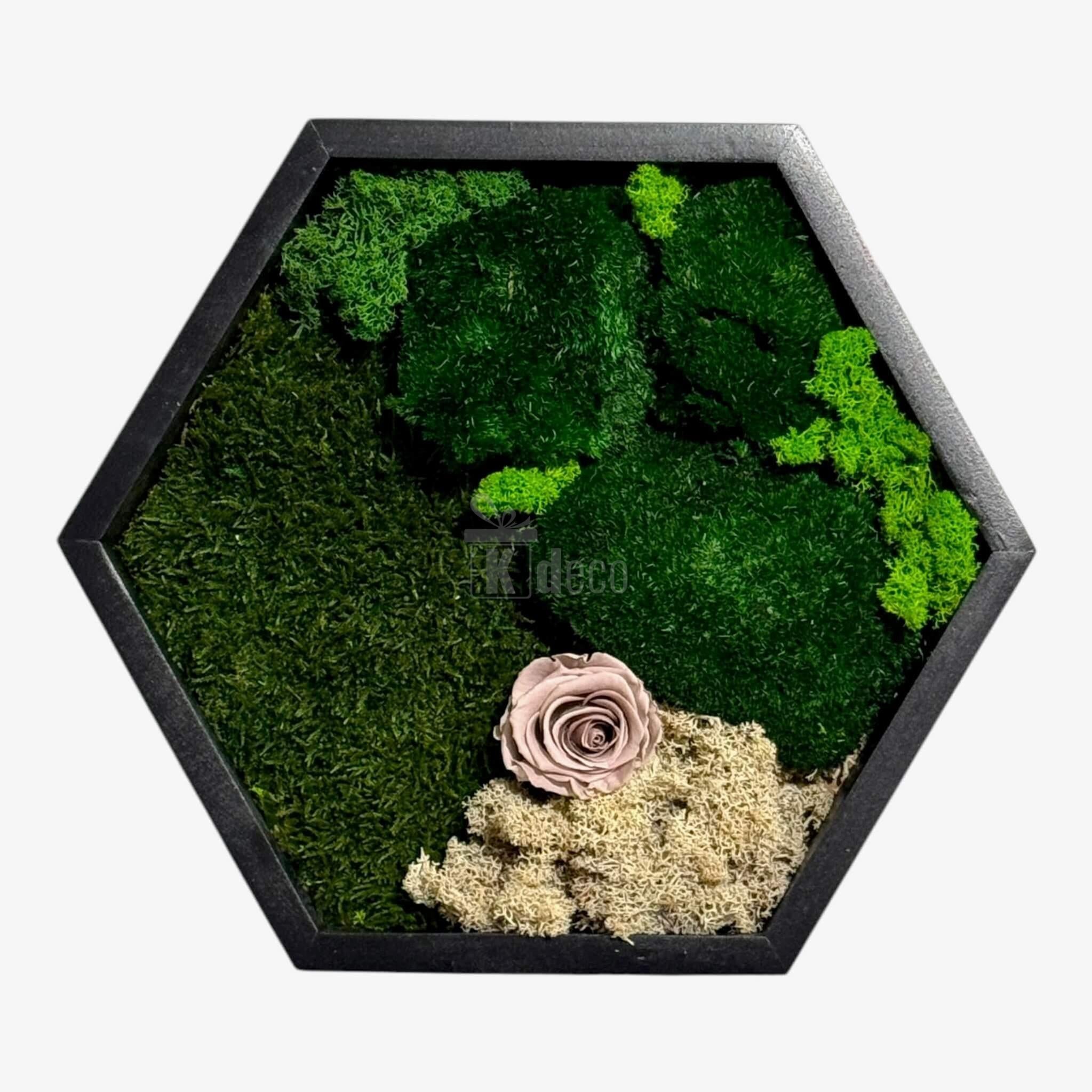 Tablou Hexagonal cu Mușchi, Licheni și Trandafir Criogenat – Eleganță Naturală, 35cm - Kdeco.ro