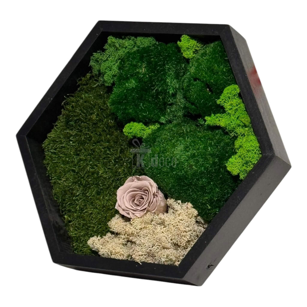 Tablou Hexagonal cu Mușchi, Licheni și Trandafir Criogenat – Eleganță Naturală, 35cm - Kdeco.ro