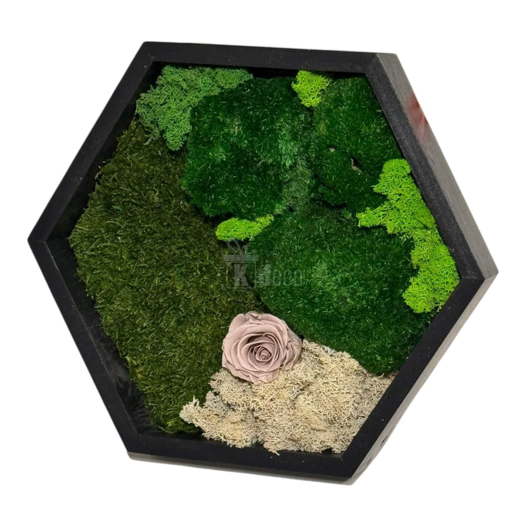 Tablou Hexagonal cu Mușchi, Licheni și Trandafir Criogenat – Eleganță Naturală, 35cm - Kdeco.ro