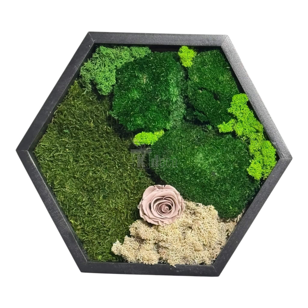 Tablou Hexagonal cu Mușchi, Licheni și Trandafir Criogenat – Eleganță Naturală, 35cm - Kdeco.ro