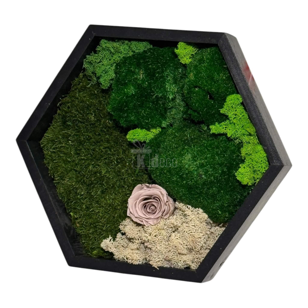 Tablou Hexagonal cu Mușchi, Licheni și Trandafir Criogenat – Eleganță Naturală, 35cm - Kdeco.ro