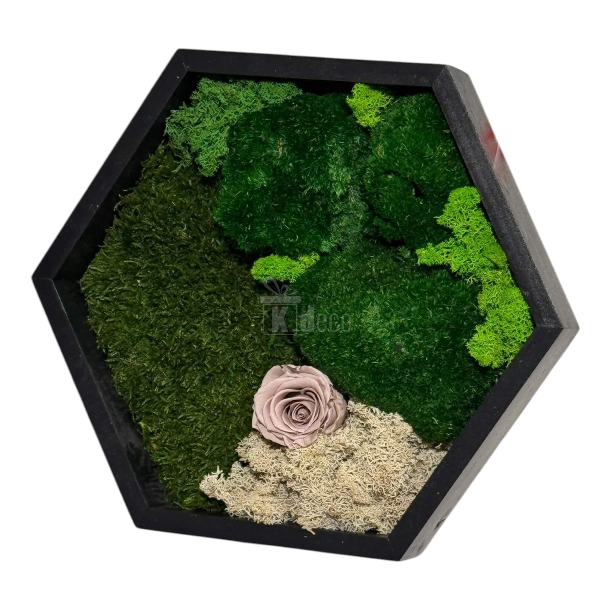 Tablou Hexagonal cu Mușchi, Licheni și Trandafir Criogenat – Eleganță Naturală, 35cm - Kdeco.ro