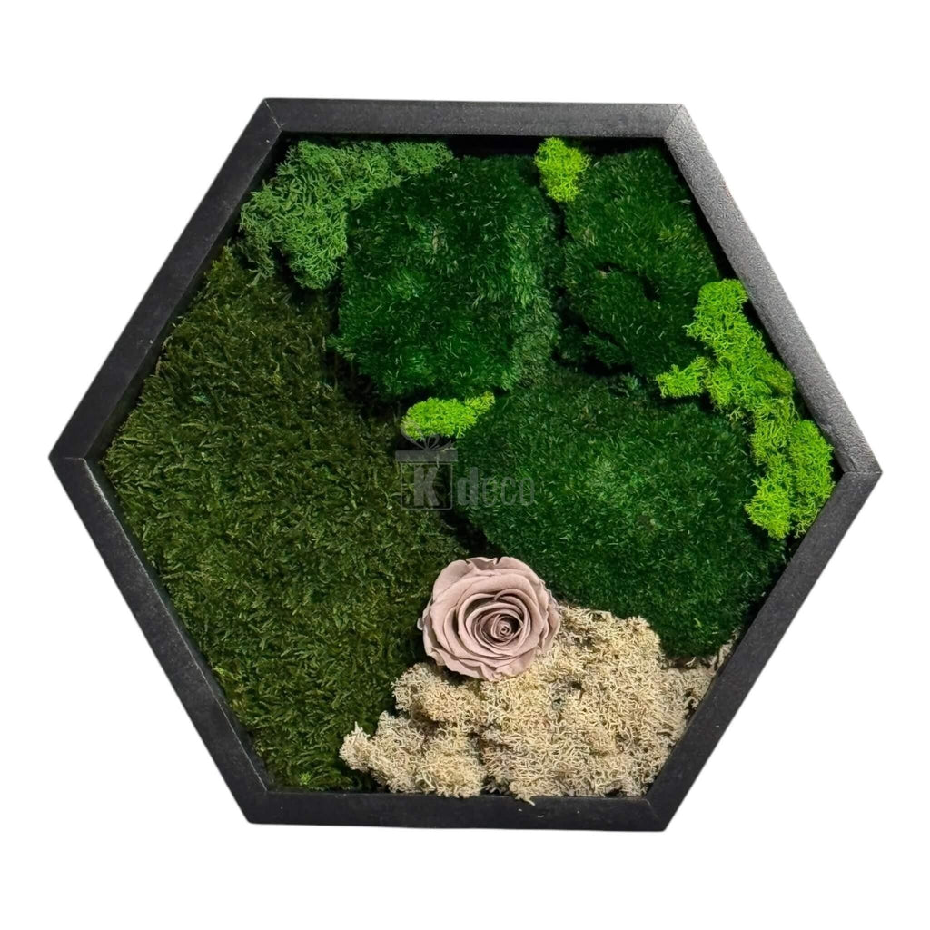 Tablou Hexagonal cu Mușchi, Licheni și Trandafir Criogenat – Eleganță Naturală, 35cm - Kdeco.ro