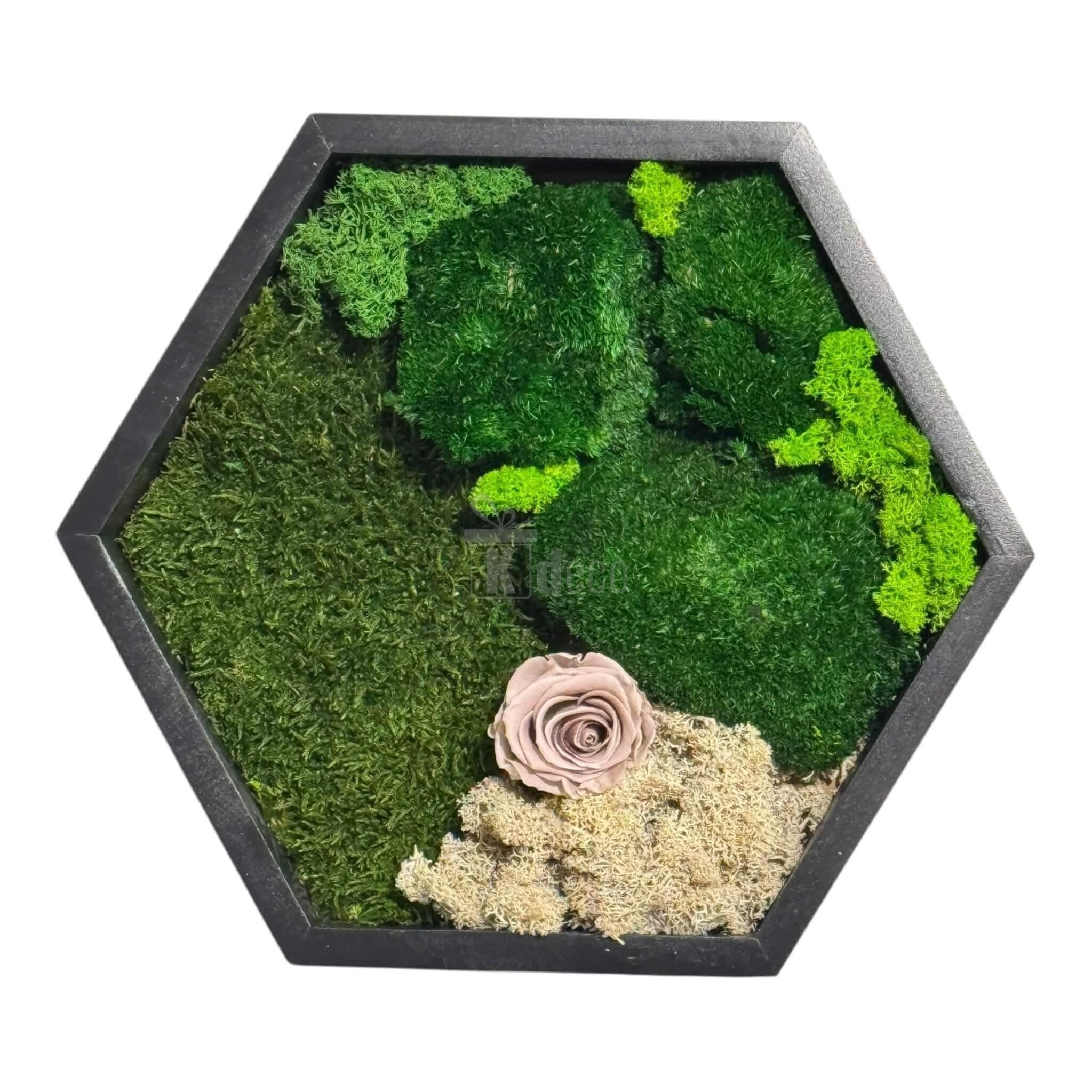 Tablou Hexagonal cu Mușchi, Licheni și Trandafir Criogenat – Eleganță Naturală, 35cm - Kdeco.ro
