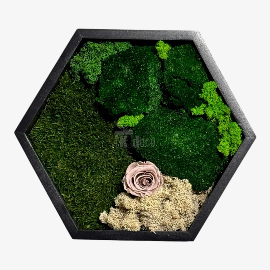 Tablou Hexagonal cu Mușchi, Licheni și Trandafir Criogenat – Eleganță Naturală, 35cm - Kdeco.ro