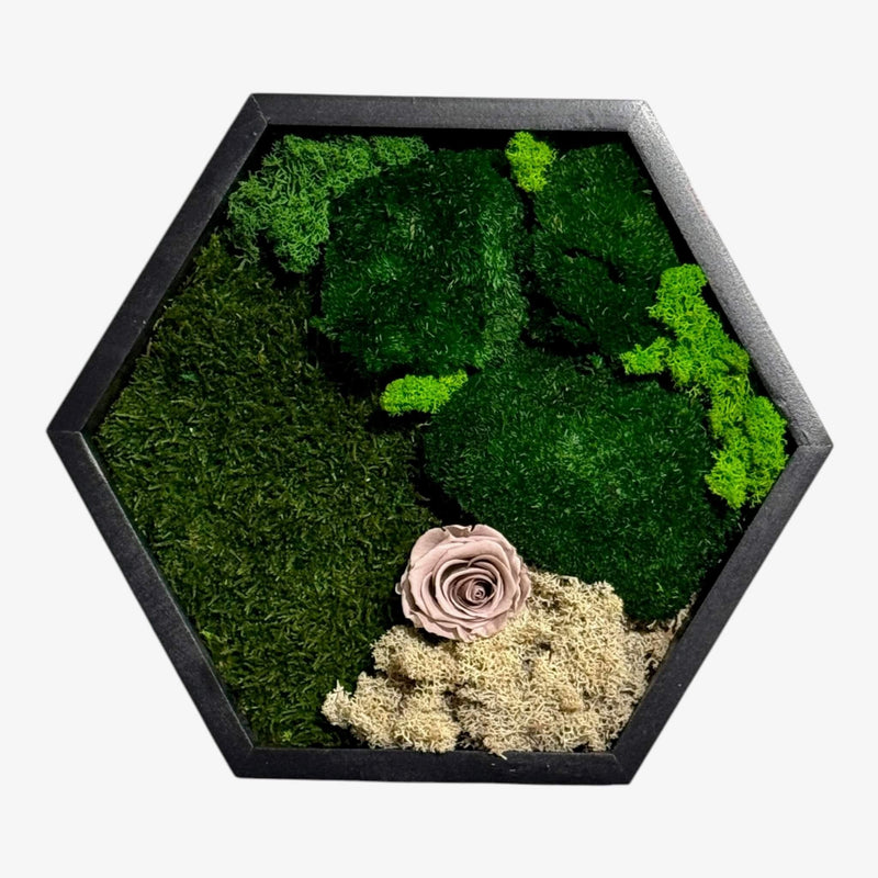 Tablou Hexagonal cu Mușchi, Licheni și Trandafir Criogenat – Eleganță Naturală, 35cm - Kdeco.ro