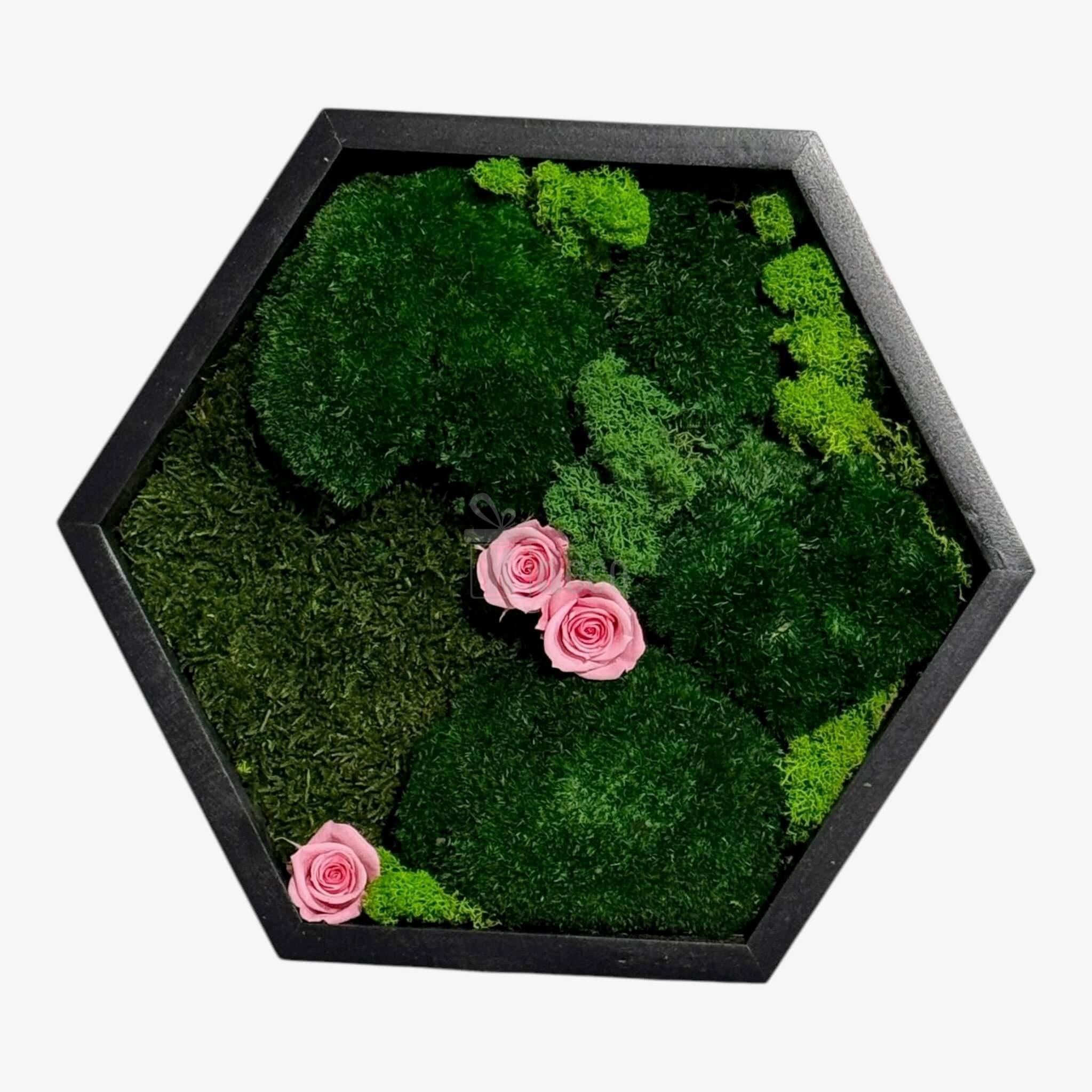 Tablou Hexagonal cu Mușchi, Licheni și Trandafiri Criogenați Roz – Natură și Eleganță, 35cm - Kdeco.ro