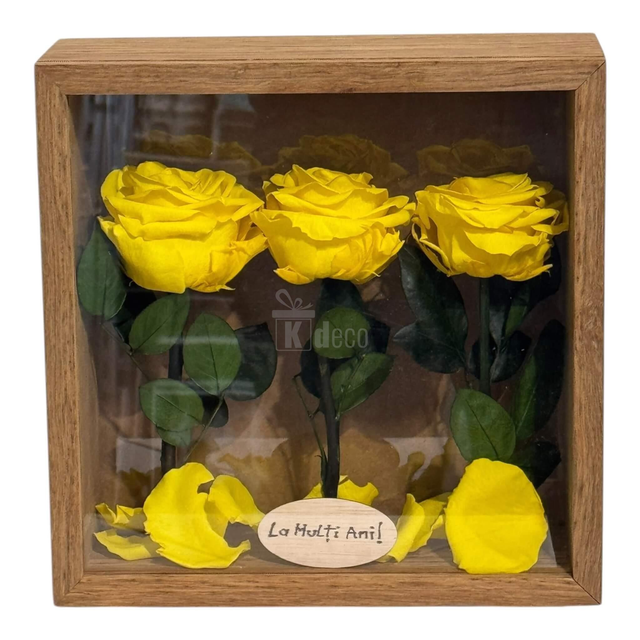 Decor floral Tablou Natural 27x27 cm cu 3 Trandafiri Criogenați Galbeni Premium, ideal pentru decor interior sau ocazii speciale.